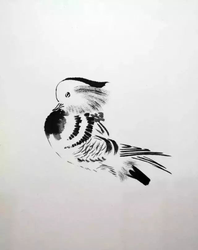 涨知识:如何画好花鸟画中的鸟?看完这篇教程保证让你学会!! - 艺术考级网