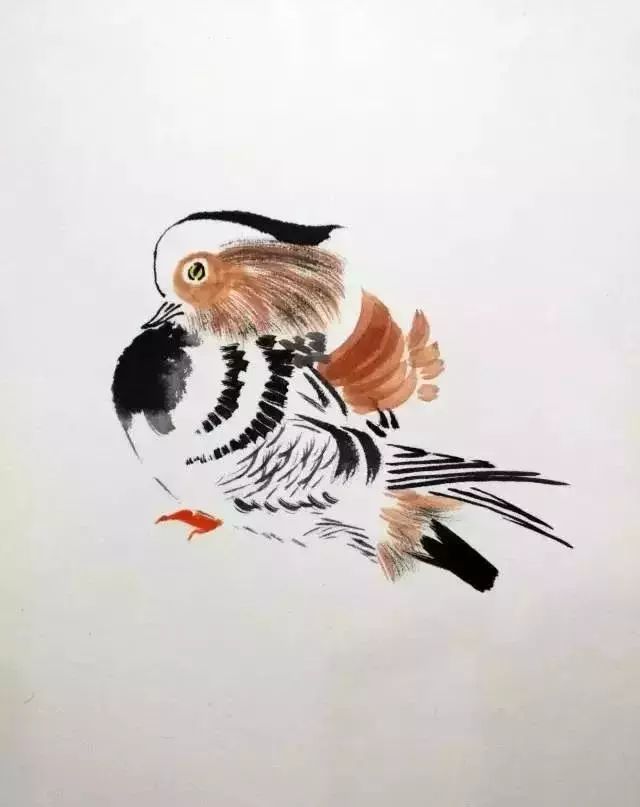 涨知识:如何画好花鸟画中的鸟?看完这篇教程保证让你学会!! - 艺术考级网